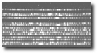 Spektrogram - kliknij by zobaczyć powiększenie widmo